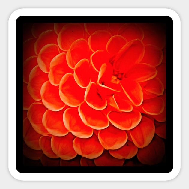 Red and dark flower painting texture Sticker by Choulous79